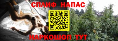 шишки Абинск