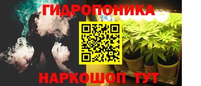 ПСИЛОЦИБИНОВЫЕ ГРИБЫ Новодвинск