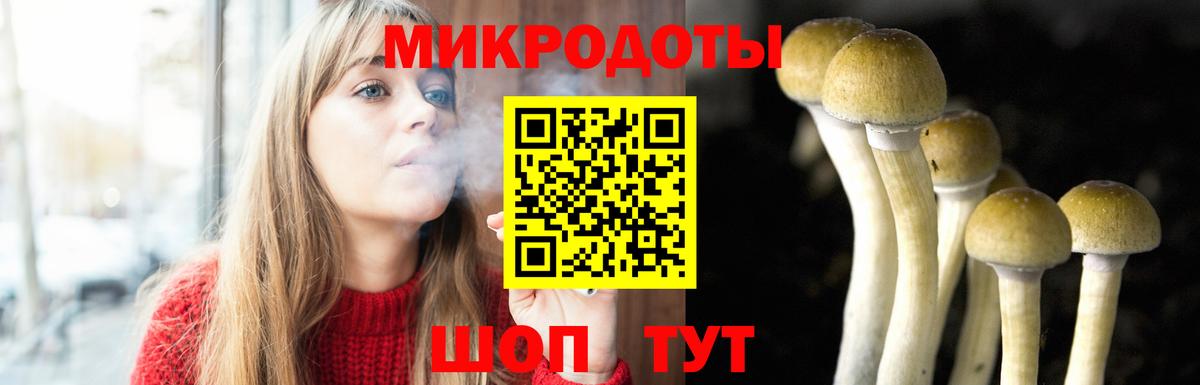 Псилоцибиновые грибы MAGIC MUSHROOMS Североуральск