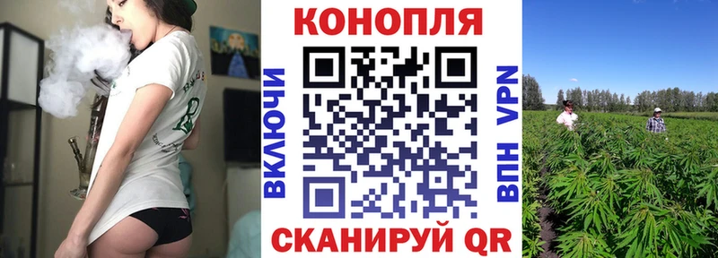 Конопля Amnesia  Североуральск 